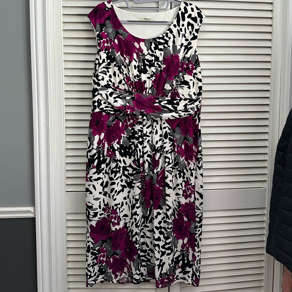 Precis Petite Sz 14 - Beautiful print!